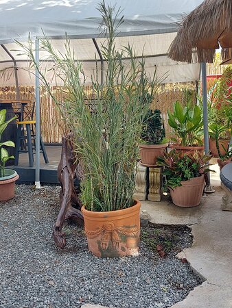 El Pirata Salón De Fiestas Y Balneario