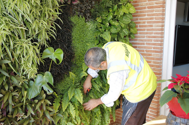 Local Jardines