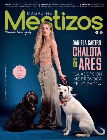 Sala De Fiestas Los Mestizos