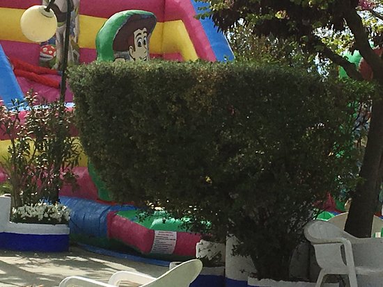 Salón De Eventos "El Moral"