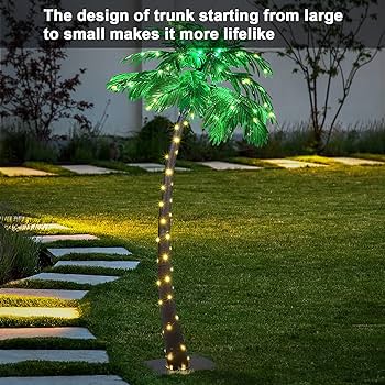 Salón De Fiestas “El Patio De Mimi”