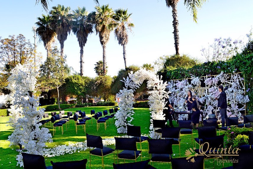 Salón Jardín "Los Agapantos"