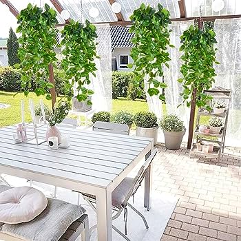 Salon Jardín Los Agaves