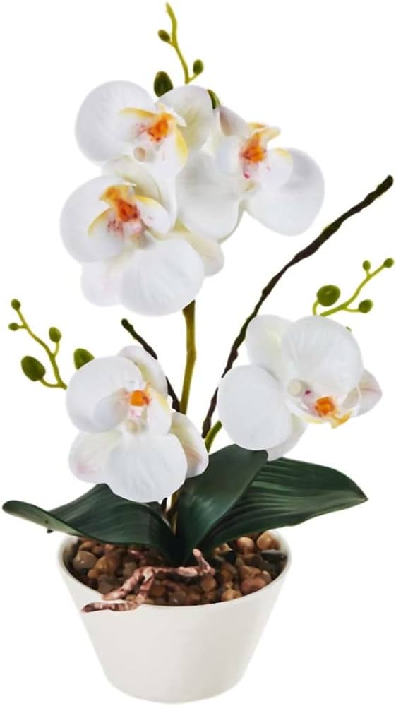 Salón Jardín Orquídea