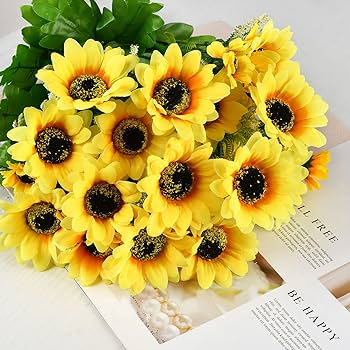 Salón Para Fiestas Los Girasoles