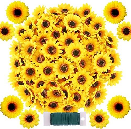 Salón Y Jardín LOS GIRASOLES