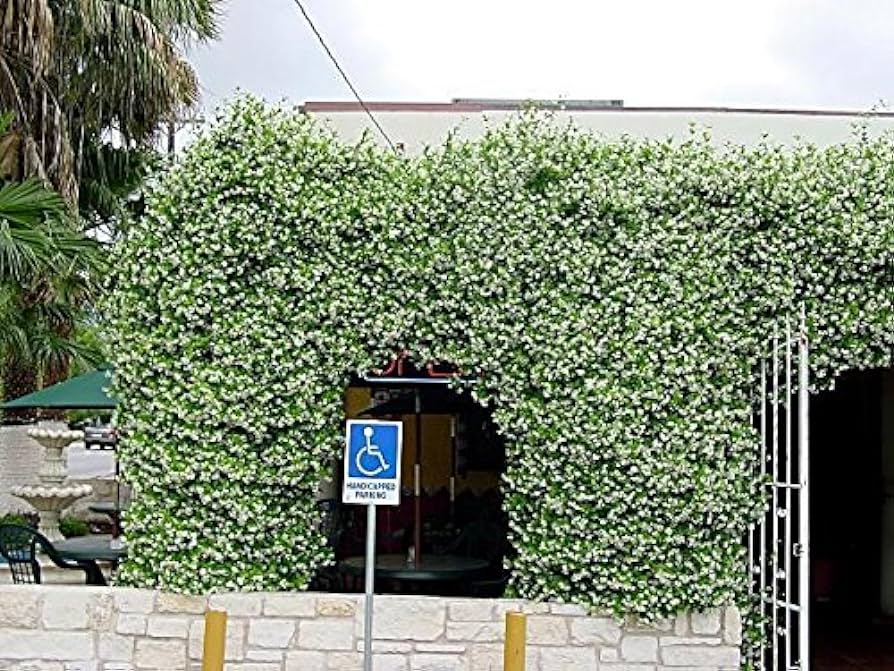 Terraza Jazmín