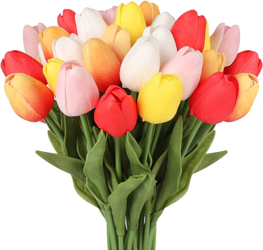 Tulipanes Salón De Eventos